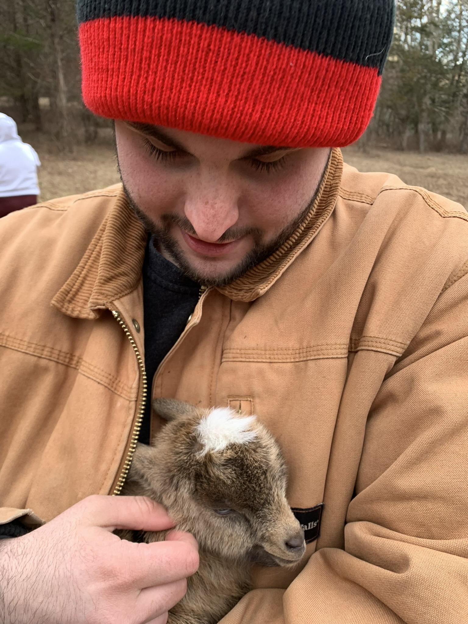 Meeting a Baby Goat