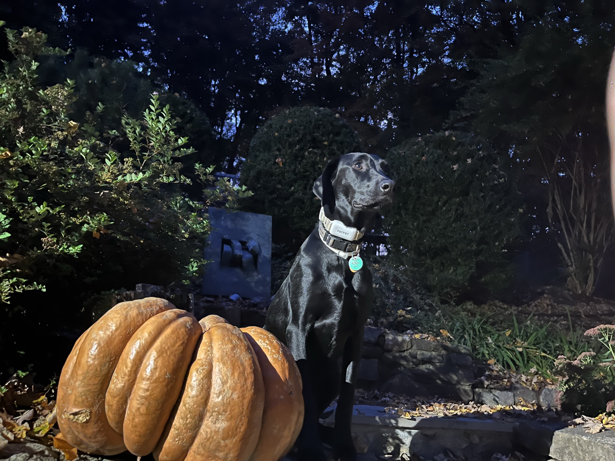 Spooky Kali